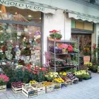 Immagine 1 azienda FIORI ANGOLO VERDE Shopping e acquisti in Salerno