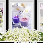 Immagine 1 azienda FIORI D'ARANCIO Shopping e acquisti in Bari