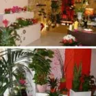 Immagine 3 azienda FIORI D'ARANCIO Shopping e acquisti in Bari