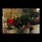 Immagine 4 azienda FIORI D'ARANCIO Shopping e acquisti in Bari