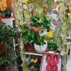 Immagine 3 azienda FIORI E BIJOUX Shopping e acquisti in Messina