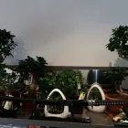 Immagine 8 azienda FIORI E COLORI Shopping e acquisti in Collegno TO