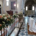 Immagine 1 azienda FIORI E PIANTE ZAGGIA Shopping e acquisti in Selvazzano Dentro PD