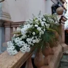 Immagine 5 azienda FIORI E PIANTE ZAGGIA Shopping e acquisti in Selvazzano Dentro PD