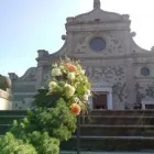 Immagine 8 azienda FIORI E PIANTE ZAGGIA Shopping e acquisti in Selvazzano Dentro PD