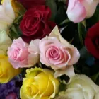 Immagine 2 azienda FIORISTA ARCOZZI Vivaio in Ravenna