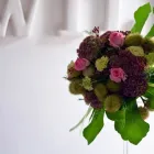 Immagine 6 azienda FIORISTA BERTANI DAVIDE LA BOTTEGA DEL FIORE Vivaio in Lonate Pozzolo VA