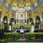 Immagine 5 azienda FIORISTA DI PAOLO DAL 1924 SEBASTIANO Vivaio in Pompei NA