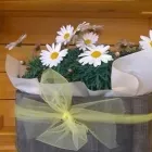 Immagine 3 azienda FIORISTA IL GIARDINO DI LORI Shopping e acquisti in Bizzozero VA