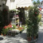 Immagine 5 azienda FIORISTA POZZI DI FILIPPO E MONIA Vivaio in Alto Reno Terme Bo