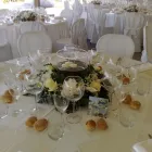 Immagine 2 azienda FIORISTA SIAMO AL VERDE Vivaio in Gallarate VA