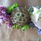 Immagine 2 azienda FIORISTA URBAN FLOWER Shopping e acquisti in Castel Maggiore BO