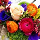 Immagine 5 azienda FIORISTA URBAN FLOWER Shopping e acquisti in Castel Maggiore BO