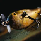 Immagine 2 azienda FISHING EXTREME Shopping e acquisti in Arzano NA