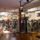 Immagine 4 azienda FITNESS CLUB AREA SPORT Sport e tempo libero in Torino