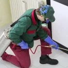 Immagine 2 azienda FITOSAN SERVICE Servizi professionali in Vecchiano PI