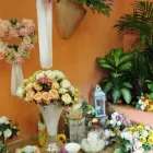 Immagine 1 azienda FLORARTE Shopping e acquisti in Civitavecchia RM