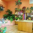 Immagine 4 azienda FLORARTE Shopping e acquisti in Civitavecchia RM