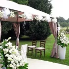 Immagine 2 azienda FLOREALEX Shopping e acquisti in Sesto San Giovanni MI