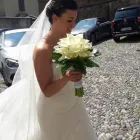 Immagine 4 azienda FLOREALEX Shopping e acquisti in Sesto San Giovanni MI