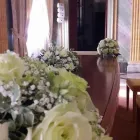 Immagine 5 azienda FLOREALEX Shopping e acquisti in Sesto San Giovanni MI