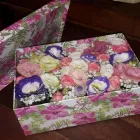 Immagine 6 azienda FLOREALEX Shopping e acquisti in Sesto San Giovanni MI