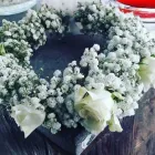 Immagine 7 azienda FLOREALEX Shopping e acquisti in Sesto San Giovanni MI