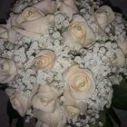 Immagine 8 azienda FLOREALEX Shopping e acquisti in Sesto San Giovanni MI