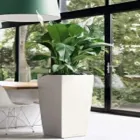 Immagine 8 azienda FLORICOLTURA KIRCHER Vivaio in Bolzano