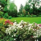 Immagine 1 azienda FLORICOLTURA PASQUALE GERVASINI Servizi professionali in Varese