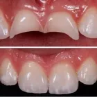 Immagine 5 azienda FLORIELLO DR. MICHELE Salute in Bitonto BA