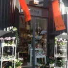 Immagine 1 azienda FLORIST Shopping e acquisti in Bari