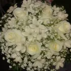 Immagine 6 azienda FLOWERS Vivaio in Palermo