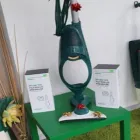 Immagine 8 azienda FOLLETTO E DINTORNI Servizi professionali in Pisa