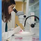 Immagine 5 azienda FONDAZIONE BANCA DEGLI OCCHI DEL VENETO ONLUS Salute in Mestre VE