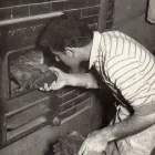 Immagine 8 azienda FORNO CIOLINI GIOVANNANGIOLO Shopping e acquisti in Montemurlo