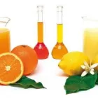 Immagine 1 azienda FRATELLI INDELICATO Shopping e acquisti in Giarre CT