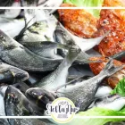 Immagine 2 azienda FRIGGITORIA STELLAMAR SEDE ESTIVA Tavola calda in Pulsano TA