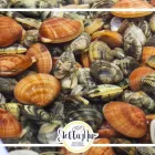 Immagine 4 azienda FRIGGITORIA STELLAMAR SEDE ESTIVA Tavola calda in Pulsano TA