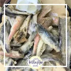 Immagine 5 azienda FRIGGITORIA STELLAMAR SEDE ESTIVA Tavola calda in Pulsano TA