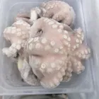 Immagine 3 azienda FROZEN FOOD SHOP Shopping e acquisti in Catania