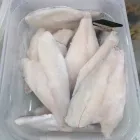 Immagine 5 azienda FROZEN FOOD SHOP Shopping e acquisti in Catania