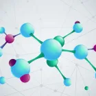 Immagine 2 azienda G.R. BIOCHEMILAB Industrie e agricoltura in Modena