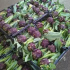 Immagine 1 azienda G. & V. ORTAGGI Shopping e acquisti in Gela CL