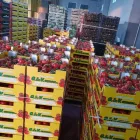 Immagine 4 azienda G. & V. ORTAGGI Shopping e acquisti in Gela CL