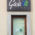 Immagine 2 azienda GAIA VIAGGI Viaggi e turismo in Chieri