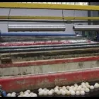 Immagine 1 azienda GALVANICA FENOGLIO Servizi professionali in Torino