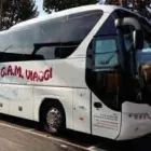 Immagine 1 azienda GAM TRASPORTI Viaggi e turismo in Scandiano RE