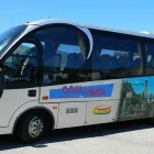 Immagine 5 azienda GAM TRASPORTI Viaggi e turismo in Scandiano RE