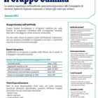 Immagine 2 azienda GAMMA INFORMAZIONI Servizi professionali in Napoli